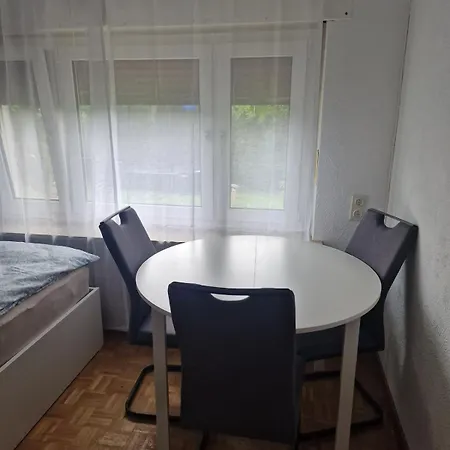 Einzimmerwohnung Mit Kueche Und Bad * Waldshut-Tiengen